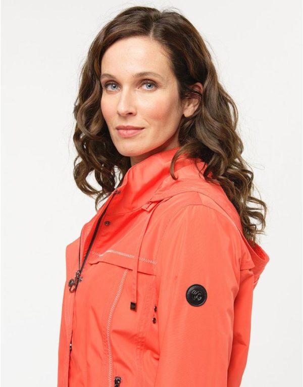 Basicsandmore.shop0a1261704f 5