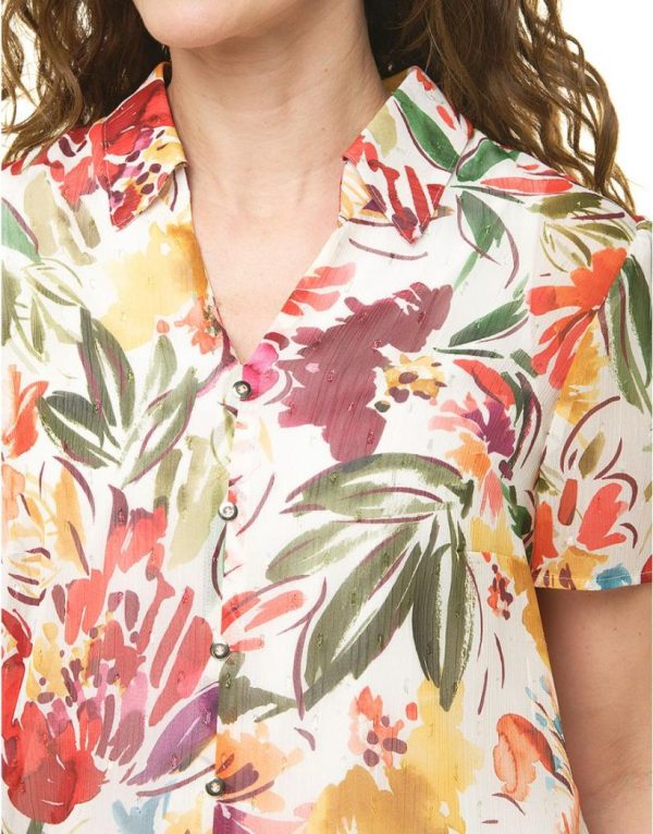 Basicsandmore.shop34df16c439 4