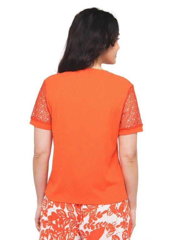 Basicsandmore.shop63c69e94f2 2