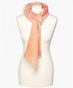 Basicsandmore.shop92cd7421ed 1