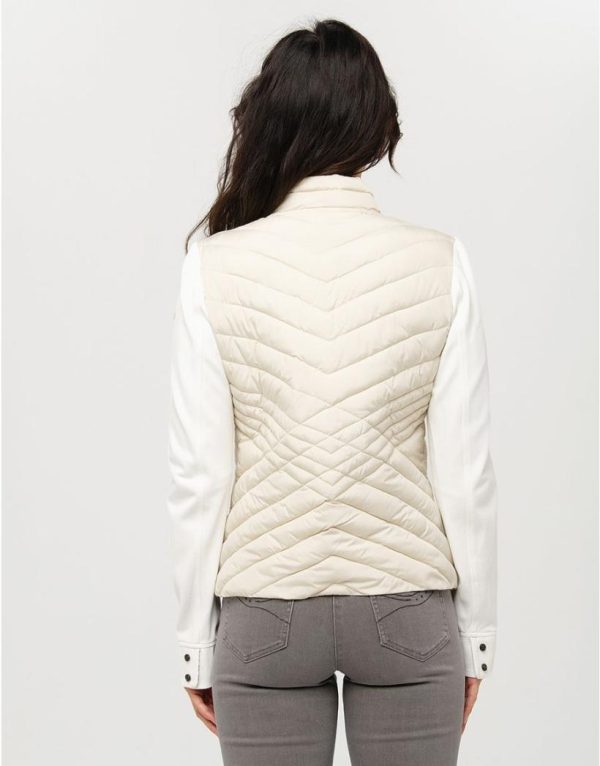 Basicsandmore.shop9bedfa0f61 2