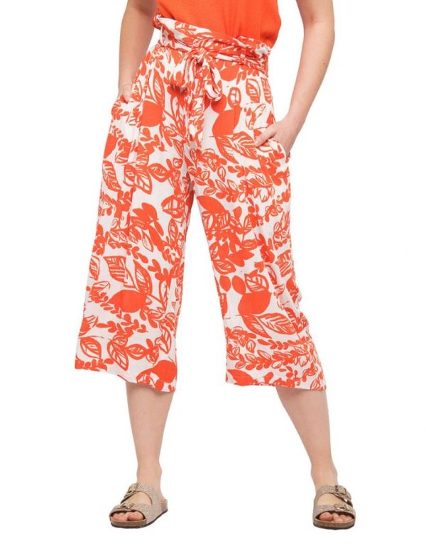 Basicsandmore.shopbd7f5418fc 1