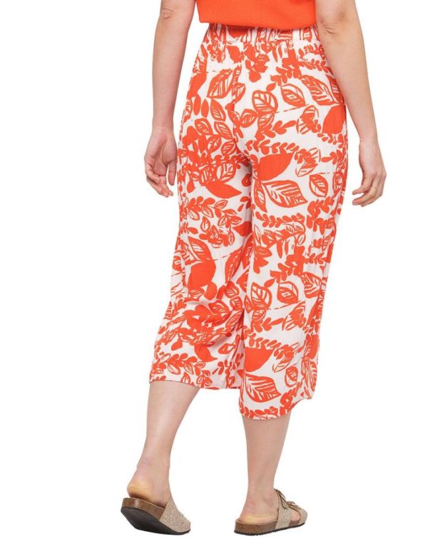 Basicsandmore.shopbd7f5418fc 2