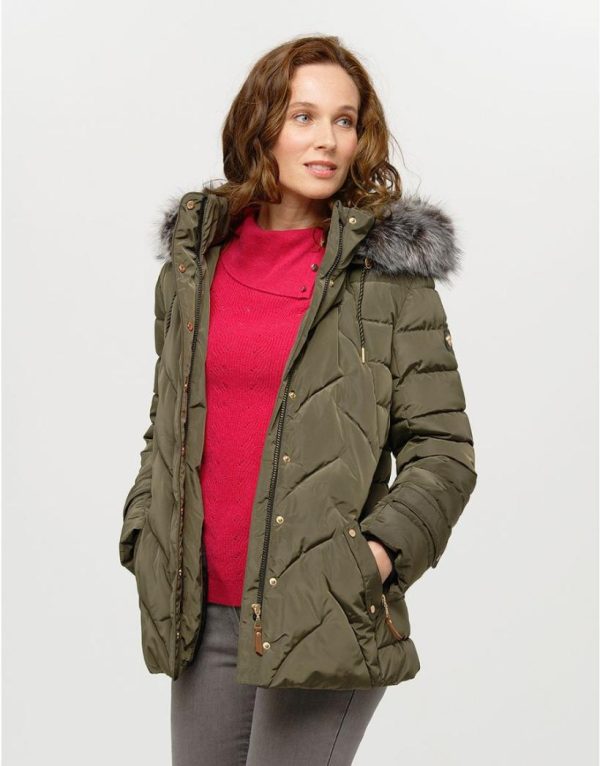 Basicsandmore.shopcdf8fa51be 1