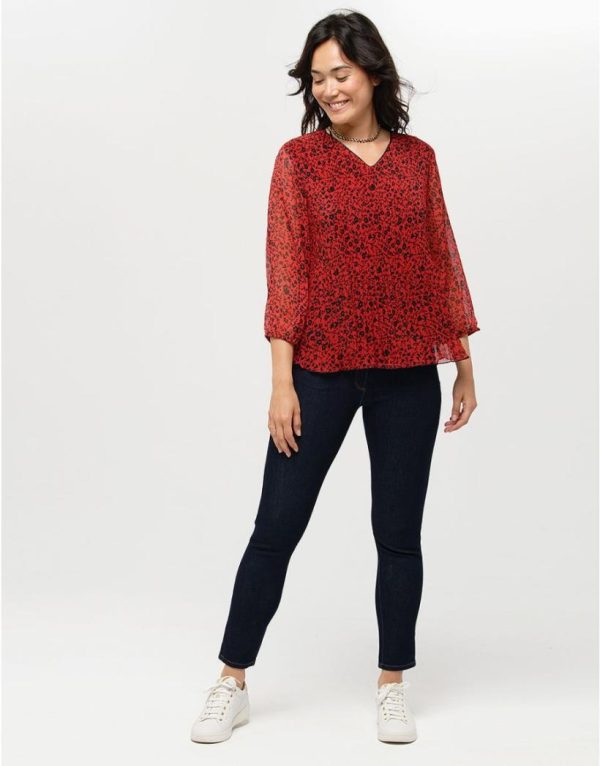 Basicsandmore.shopf129f86829 3